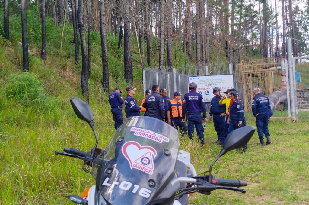 WhatsApp Image 2025-01-13 at 9.11.16 AM