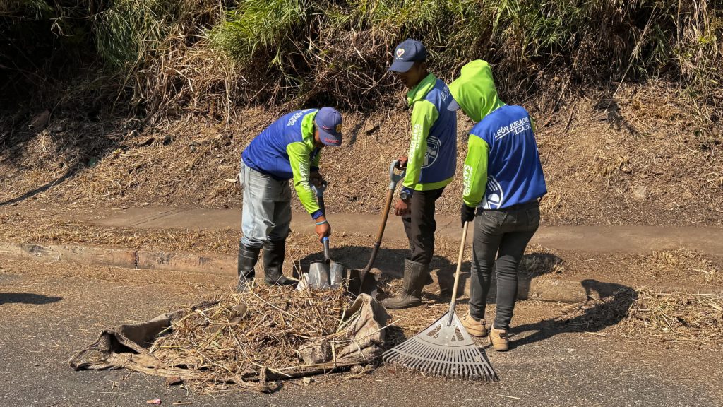 WhatsApp Image 2025-01-22 at 11.09.42 AM