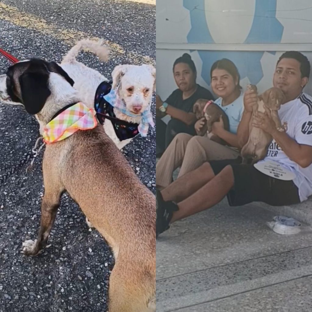 Imagen de WhatsApp 2025-09-01 a las 10.30.22_1c0d5efa