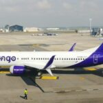 wingo--768x466
