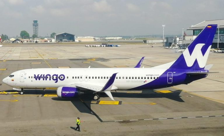 wingo--768x466